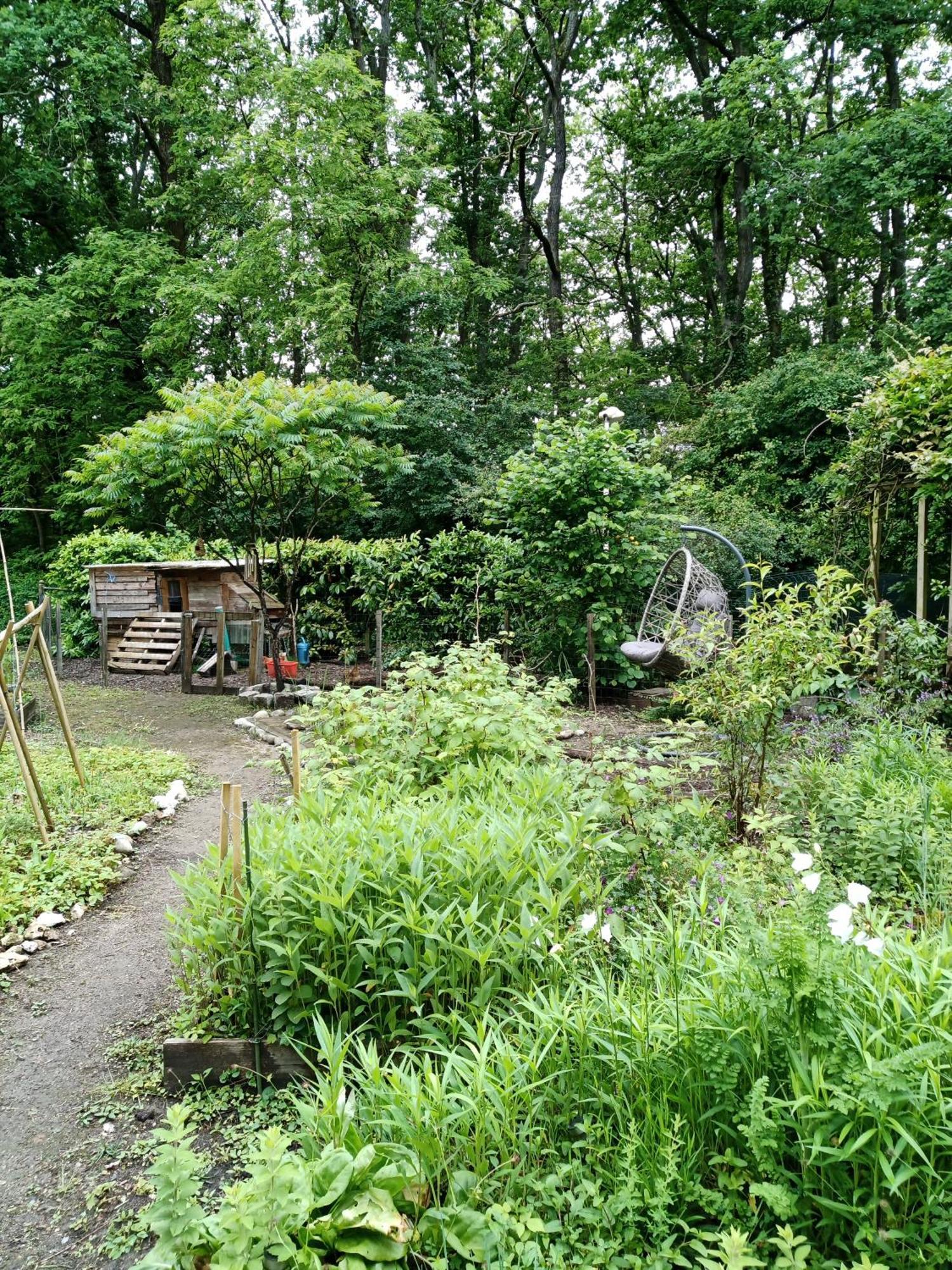Maison Pres Des Bois Joué-lès-Tours Eksteriør billede